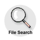 File Search